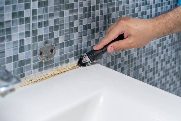 Best Mold Removal Near Me  in Coventry Lake, CT