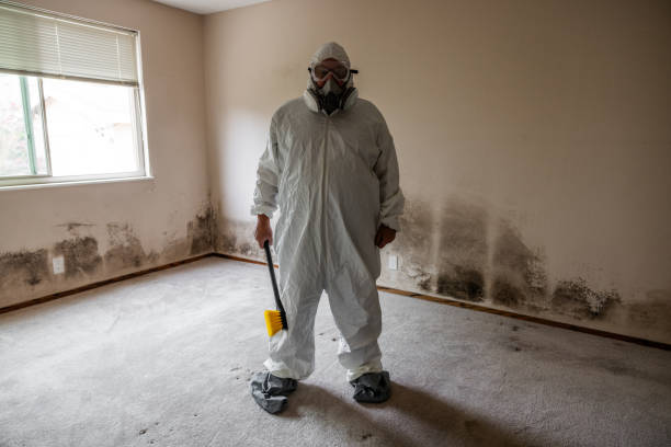Best Professional Mold Removal  in Coventry Lake, CT